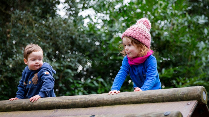 Children on climbing frames in Rook Wood playground, Penrhyn Castle